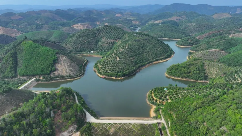 Lâm Đồng triển khai loạt chương trình, đề án lớn thực hiện Quy hoạch lâm nghiệp quốc gia. Ảnh: VÕ TÙNG Lâm Đồng triển khai loạt chương trình, đề án lớn thực hiện Quy hoạch lâm nghiệp quốc gia