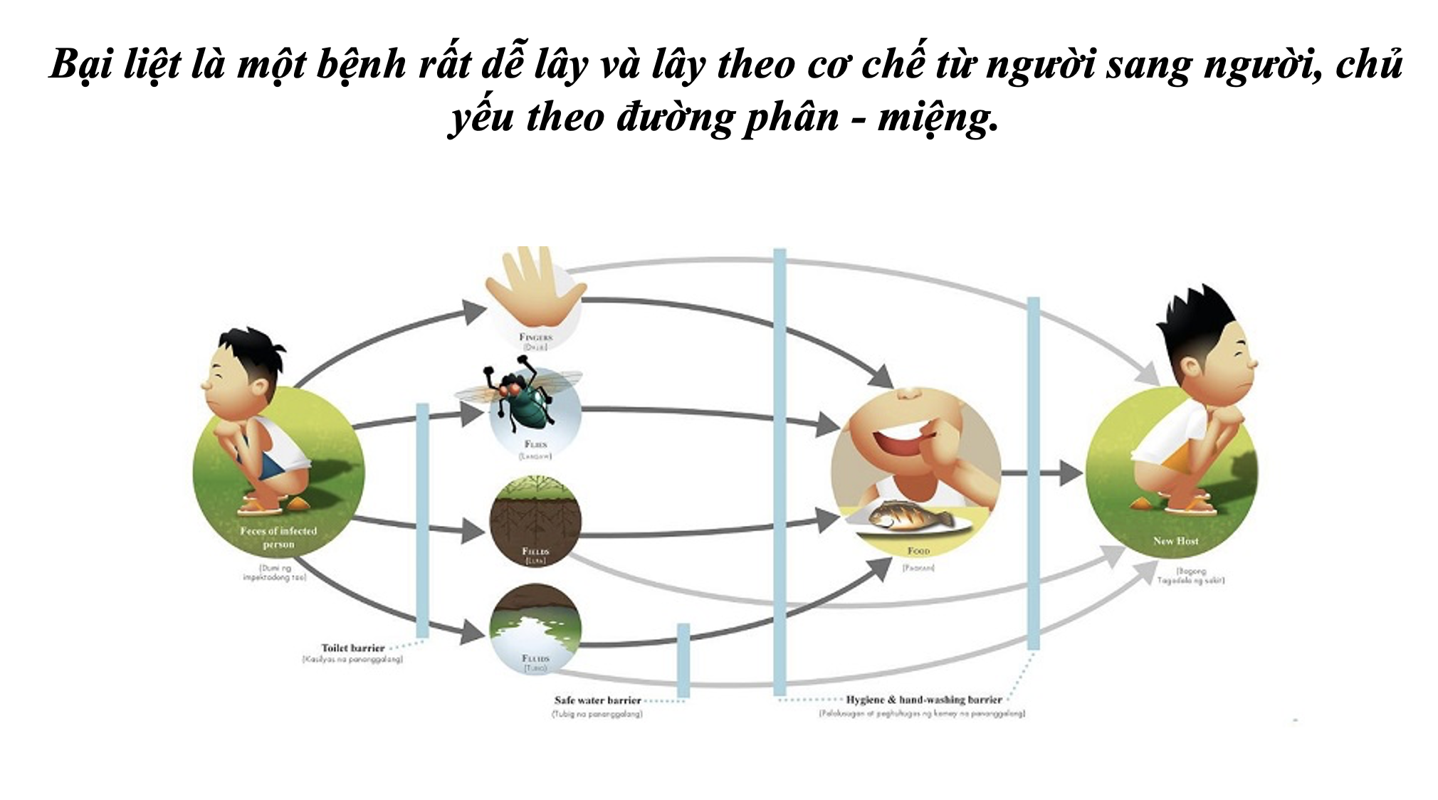 Lào ghi nhận vi rút bại liệt biến đổi gen: Việt Nam đối mặt nguy cơ ra sao? - Ảnh 1. bại liệt - Ảnh 1.