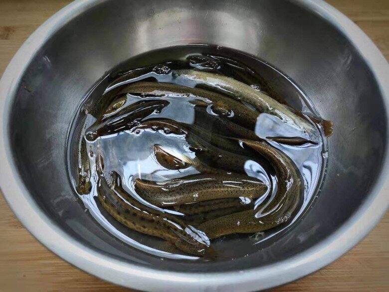 Loại cá dân dã được coi là "nhân sâm dưới nước" vừa giàu đạm lại nhiều canxi, nấu được đủ món ngon 1 Loại cá dân dã được coi là amp;#34;nhân sâm dưới nướcamp;#34; vừa giàu đạm lại nhiều canxi, nấu được đủ món ngon - 1