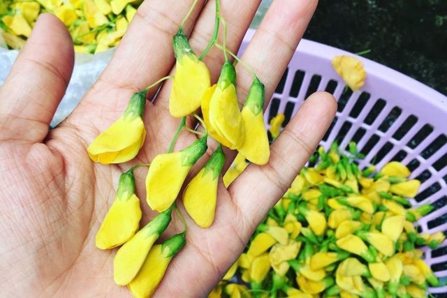 Loài hoa giàu chất chống oxy hóa, chế biến thành nhiều món ngon - 1