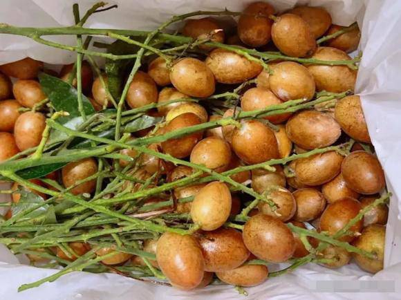 Loại quả bé tí nhiều người tưởng vô dụng lại tốt cho sức khỏe tim mạch và hỗ trợ làm đẹp da 1 Loại quả bé tí nhiều người tưởng vô dụng lại tốt cho sức khỏe tim mạch và hỗ trợ làm đẹp da - 1