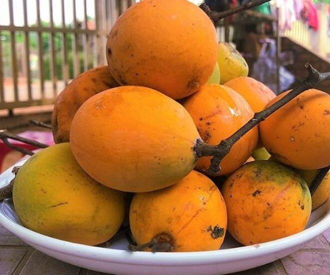 Loại quả xưa rụng thối gốc không ai nhặt, giá rẻ như cho nay thành đặc sản thành phố, 150.000 đồng/kg vẫn amp;#34;cháy hàngamp;#34; - 1