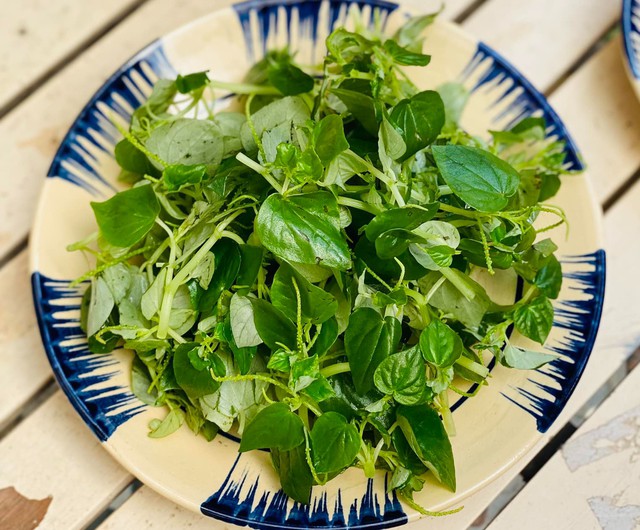 Loại rau mọc hoang nhưng đắt ngang thịt là “thực phẩm vàng” cho người bị gout và tiểu đường, làm ngay món này đơn giản mà bổ dưỡng 1 Rau càng cua hỗ trợ người mắc gout