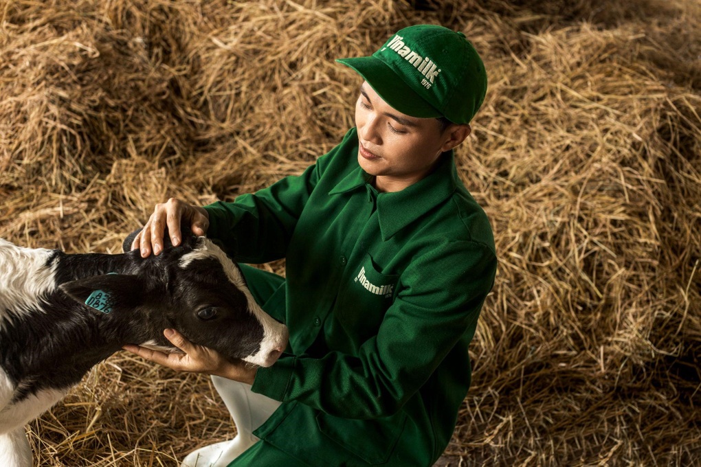 Lý do Vinamilk Green Farm A2 được nhiều mẹ bỉm tin chọn - 2