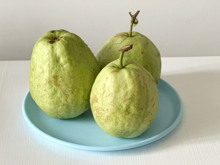 Lý do bạn nên ăn ổi mỗi ngày 1 Ổi đem lại nhiều giá trị dinh dưỡng cho cơ thể. Ảnh: Ban Mai