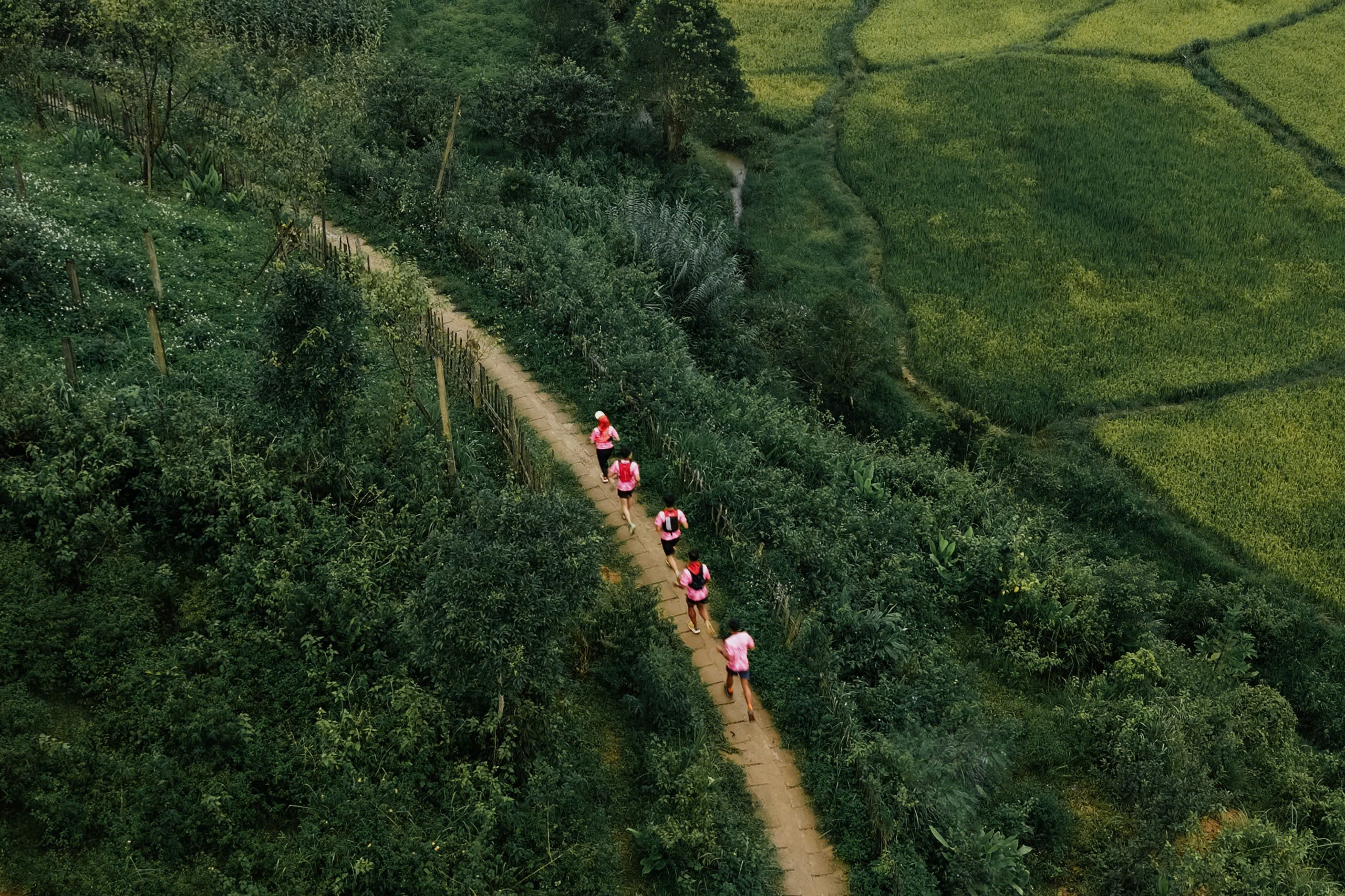 Măng Đen Ultra Trail 2026 - Ảnh 1.