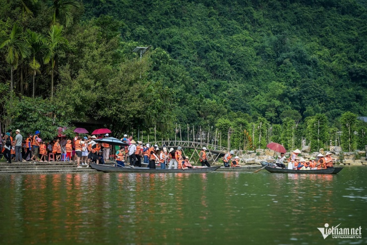 Mê hoặc khoảnh khắc hàng vạn chim hoang dã bay về tổ ở Ninh Bình - 1
