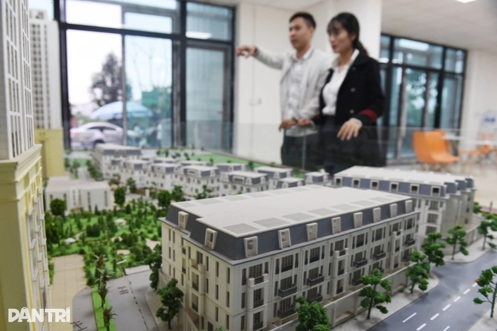 Môi giới bất động sản biến chất, nhiều nơi cảnh báo - 1