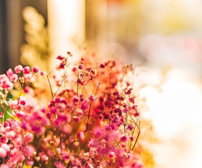 Mối quan hệ tốt đến đâu, người khác tặng bạn 3 món đồ này, tuyệt đối không được nhận - 1