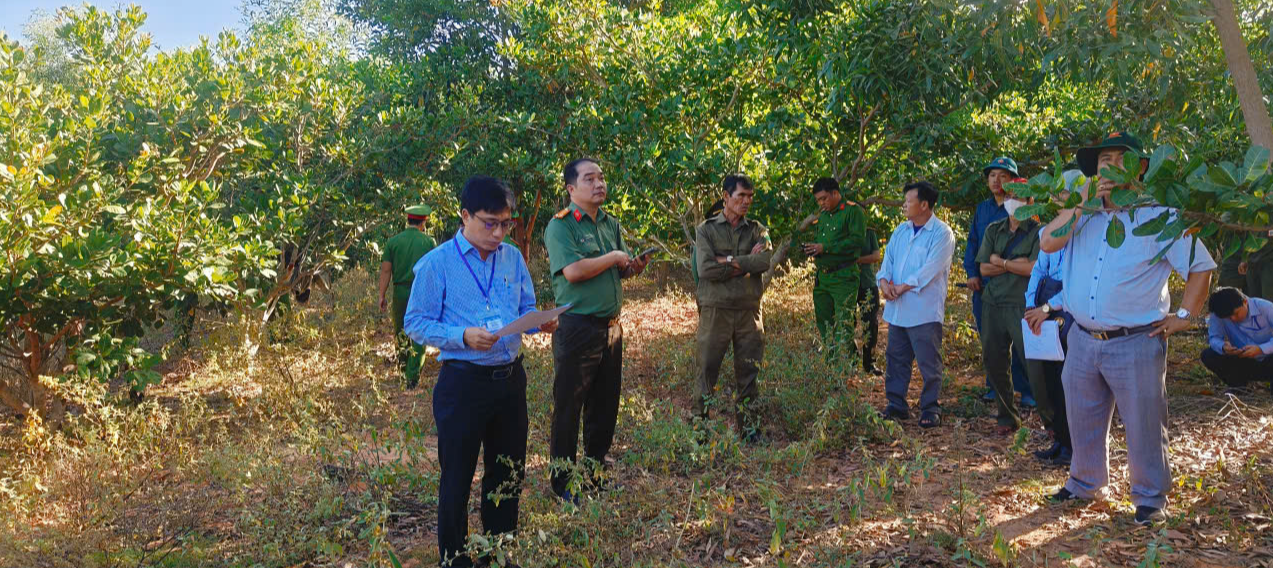 Mũi Né quyết xử lý nghiêm xây dựng trái phép, lấn chiếm đất công 3 Mũi Né sau sáp nhập, quyết xử lý nghiêm xây dựng trái phép, lấn chiếm đất công - Ảnh 3.