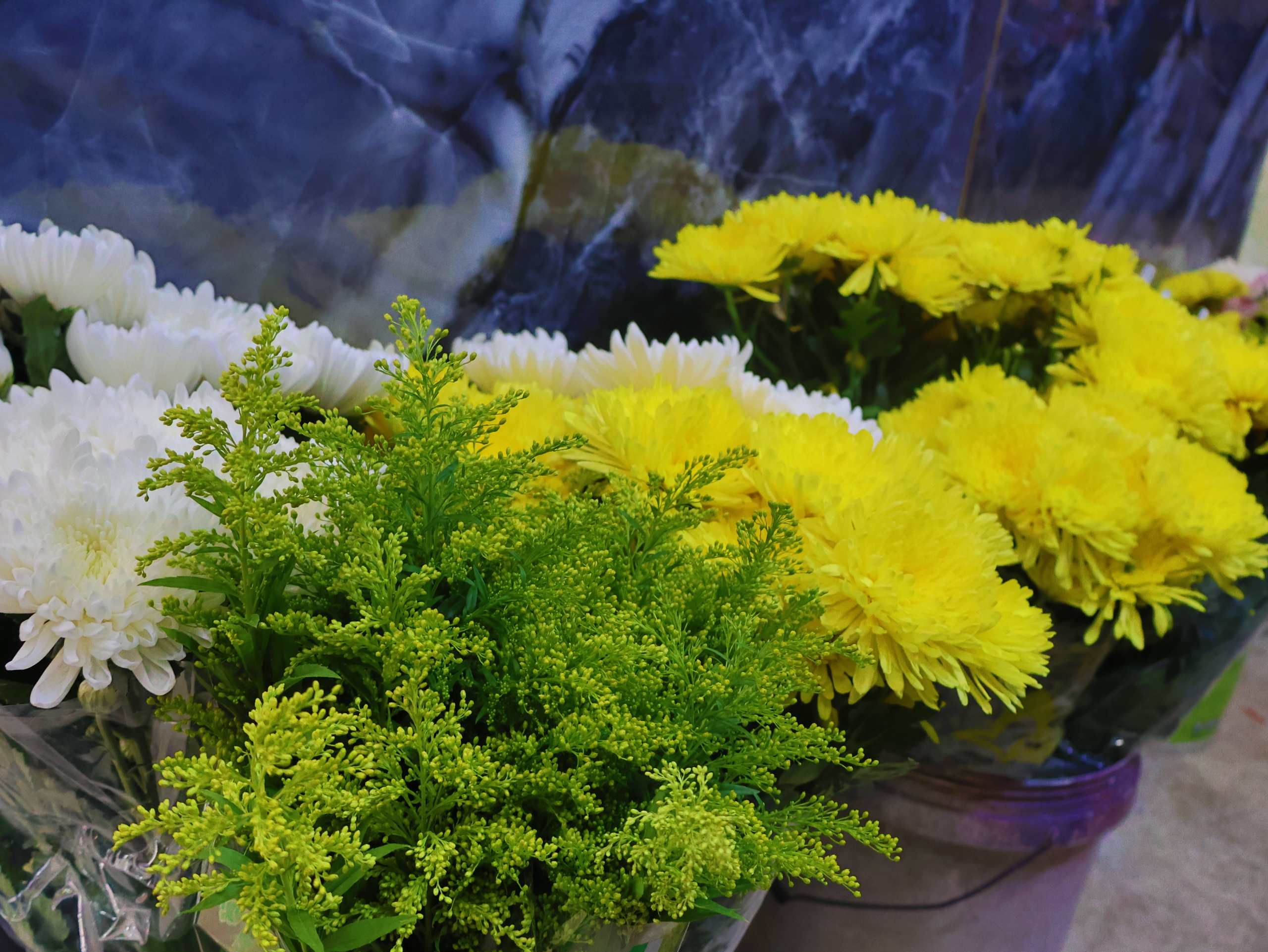 Hỏa táng thú cưng: Ngày đầu vào Bình Hưng Hòa 'hơi sợ sợ'- Ảnh 1. Hỏa táng thú cưng: Ngày đầu vào Bình Hưng Hòa 'hơi sợ sợ'- Ảnh 1.