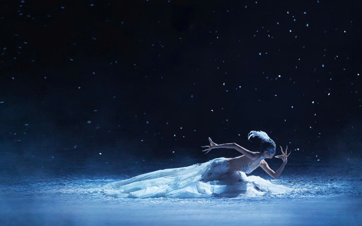 Nghệ sĩ Dương Lệ Bình sẽ đến Việt Nam tham dự họp báo giới thiệu vở vũ kịch Nghệ sĩ Dương Lệ Bình sẽ đến Việt Nam tham dự họp báo giới thiệu vở vũ kịch