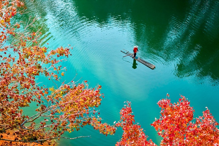 Mới đây, nhiếp ảnh Thái Dương trú tại xã Đàm Thủy, tỉnh Cao Bằng vừa chia sẻ bộ ảnh khung cảnh hồ Bản Viết. Khung cảnh hàng cây lá đỏ buông xuống mặt hồ xanh biếc tạo nên khung cảnh thơ mộng, say đắm người xem.