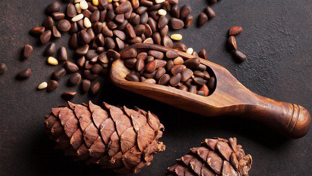 Người cao tuổi nên ăn ít 3 loại hạt này, càng ăn nhiều thận càng yếu 3 Hạt thông. Ảnh minh họa