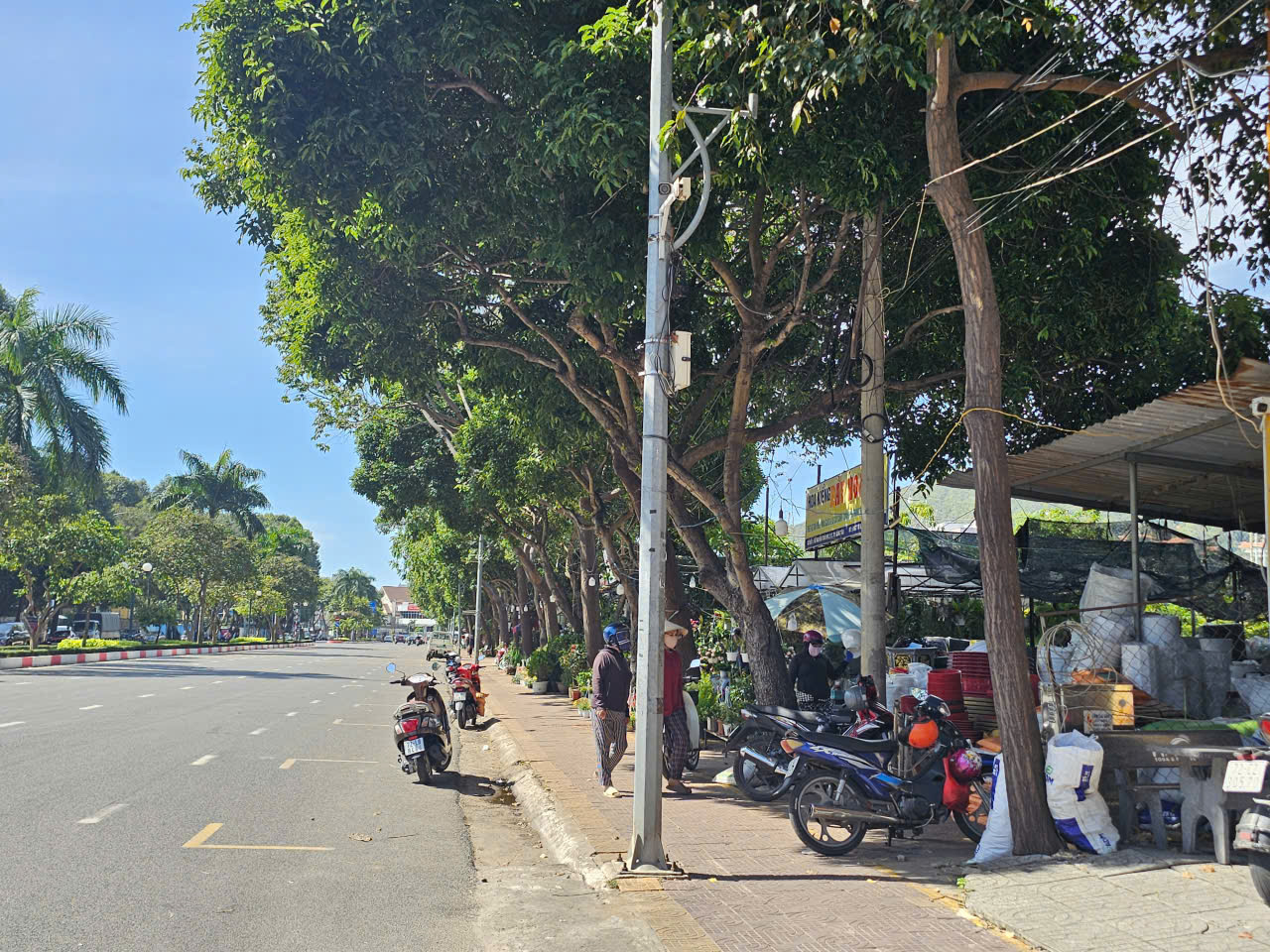 TP.HCM: Người dân bán cây kiểng trên khu đất công gần 2.000 mét vuông, ai quản lý? - Ảnh 1.