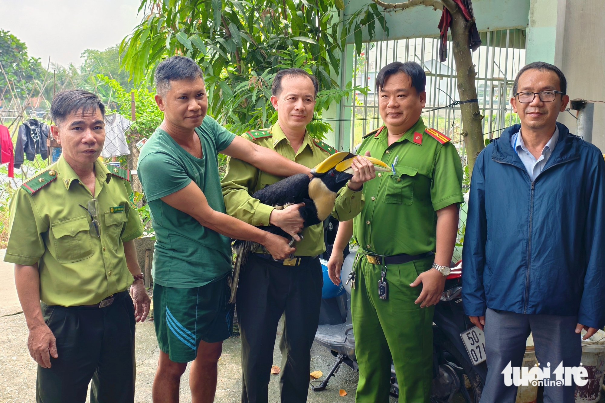 chim hồng hoàng - Ảnh 1.