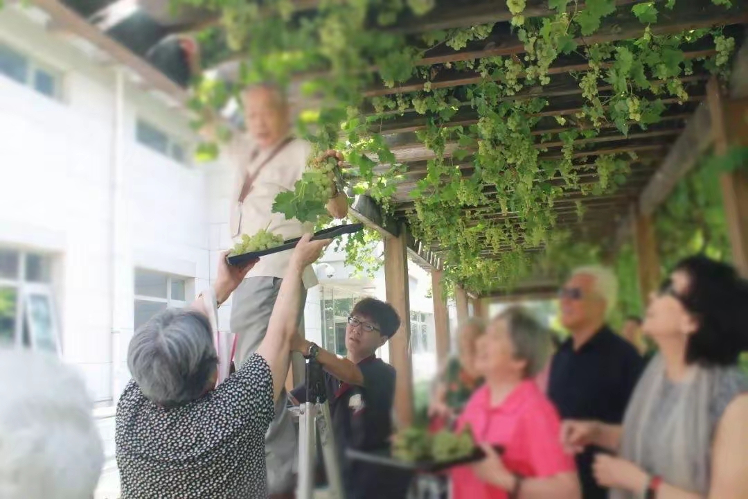 Người đàn ông mở viện dưỡng lão mini ngay tại chung cư, thu nhập hơn 130 triệu/tháng vẫn than thở: 