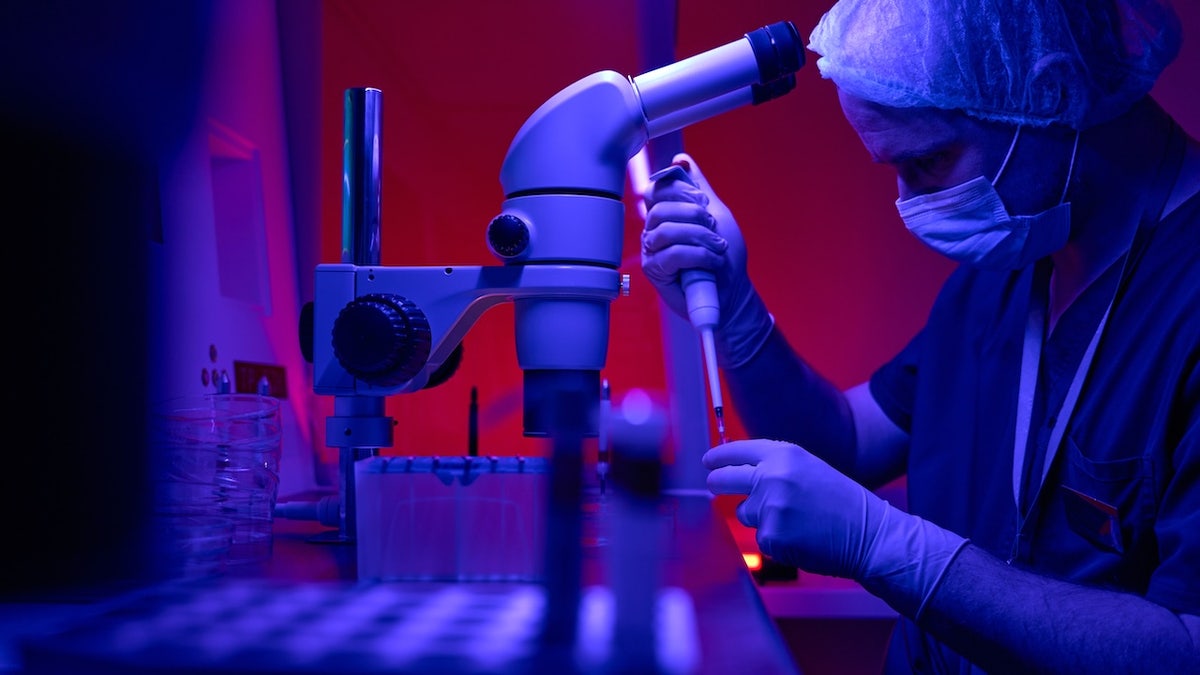 Chấn động: Người hiến tinh trùng mang gene gây ung thư làm cha của gần 200 đứa trẻ, có em mắc đến 2 loại ung thư hoặc tử vong- Ảnh 1. Chấn động: Người hiến tinh trùng mang gene gây ung thư làm cha của gần 200 đứa trẻ, có em mắc đến 2 loại ung thư hoặc tử vong- Ảnh 1.