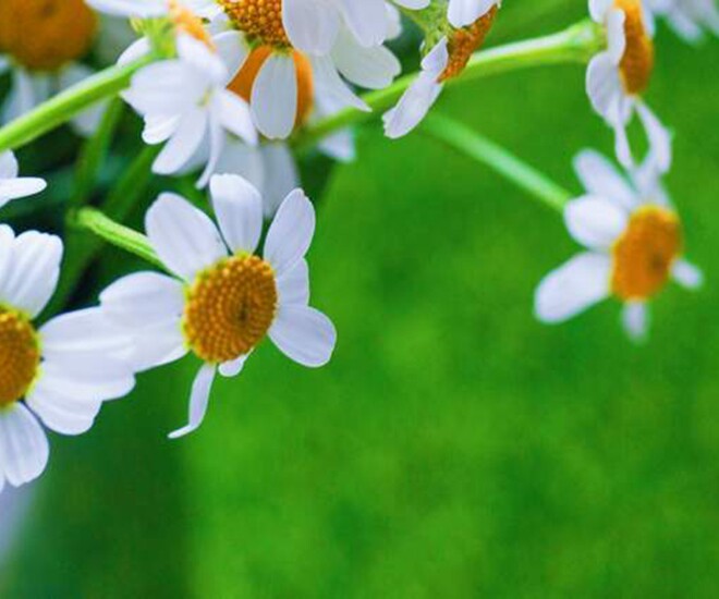 Người làm được 3 điều này khi 40-55 tuổi thực sự rất khôn ngoan, đáng nể 1 Người làm được 3 điều này khi 40-55 tuổi thực sự rất khôn ngoan, đáng nể - 1