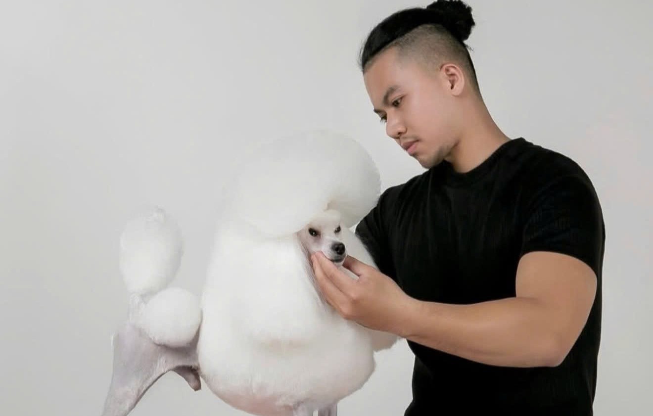 Nghề làm đẹp thú cưng: Người nghệ sĩ giữa dàn hợp xướng Bichon- Ảnh 1. Nghề làm đẹp thú cưng: Người nghệ sĩ giữa dàn hợp xướng Bichon- Ảnh 1.