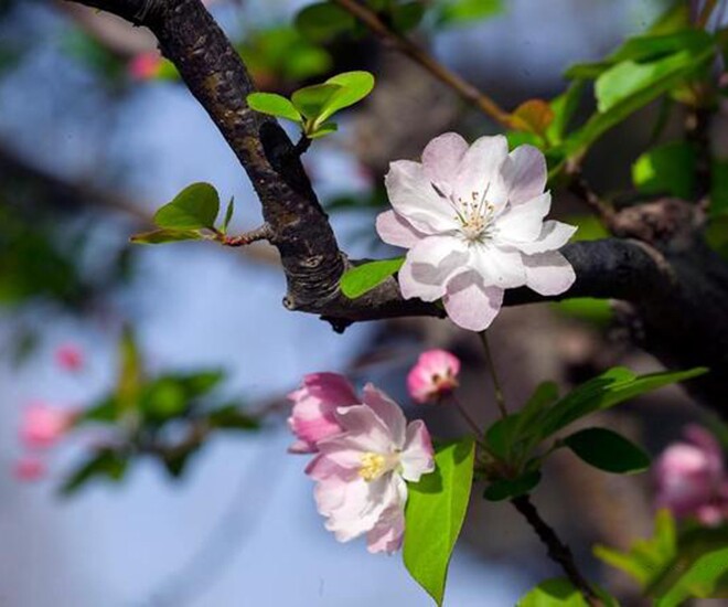 Người nói “không” với 3 thói quen này cả đời không lo thiếu tiền, sẽ giàu sang phú quý 1 Người nói “không” với 3 thói quen này cả đời không lo thiếu tiền, sẽ giàu sang phú quý - 1