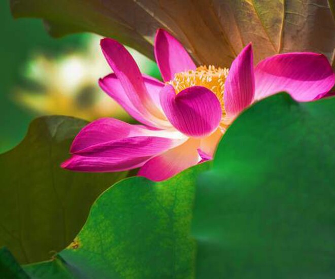 Người nói "không" với 3 việc này khi dự tiệc thường không đơn giản, rất tỉnh táo 1 Người nói amp;#34;khôngamp;#34; với 3 việc này khi dự tiệc thường không đơn giản, rất tỉnh táo - 1