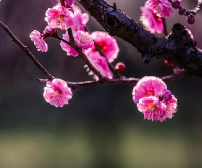 Người sống như này thực sự khôn ngoan và có tầm nhìn xa - 1