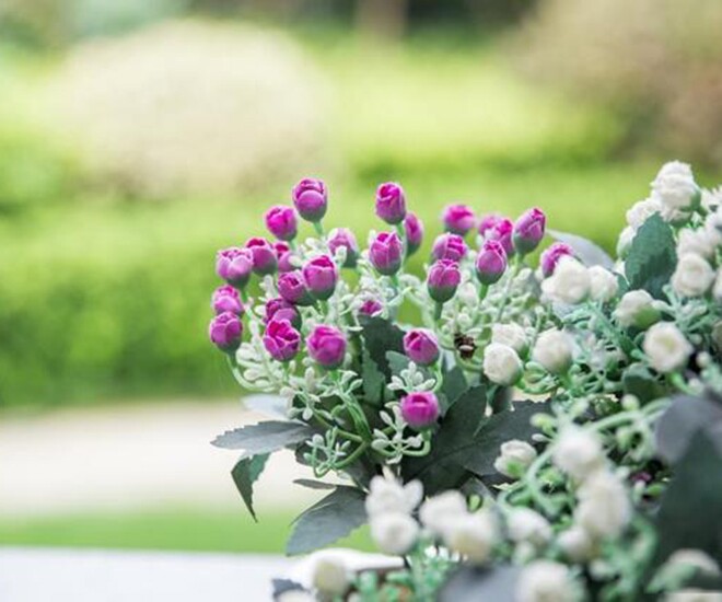 Người thực sự khôn ngoan không bao giờ khoe khoang 2 điều, kẻ nông cạn lại thường rêu rao khắp nơi - 1