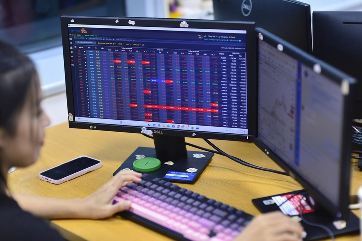 Nhà đầu tư mới có nên xuống tiền thời điểm này - Ảnh 2.