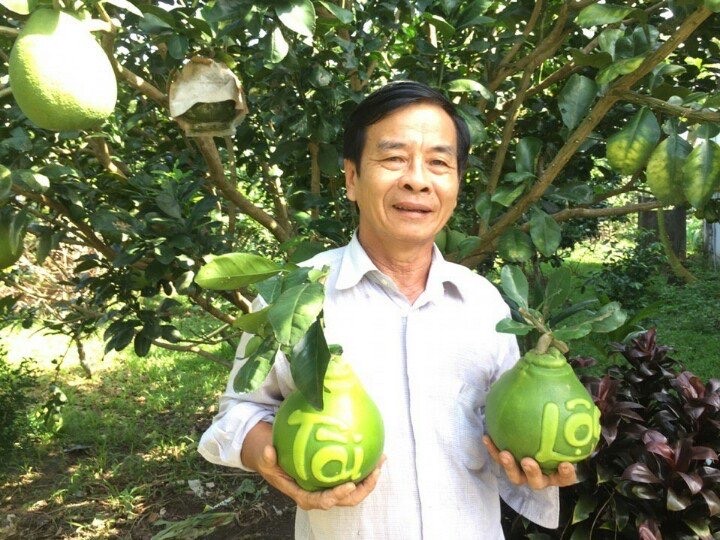 Trái cây tạo hình Tết Bính Ngọ: Nhà vườn miền Tây chăm chút từng sản phẩm- Ảnh 1. Trái cây tạo hình Tết Bính Ngọ: Nhà vườn miền Tây chăm chút từng sản phẩm- Ảnh 1.