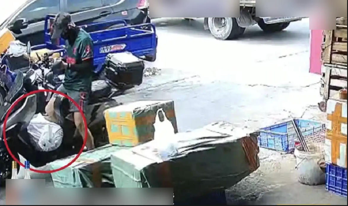 Nhận 97.000 đồng để giao... 1 con cá sấu, shipper gặp nguy khi đơn hàng bất ngờ sống dậy giữa đường đi- Ảnh 1.