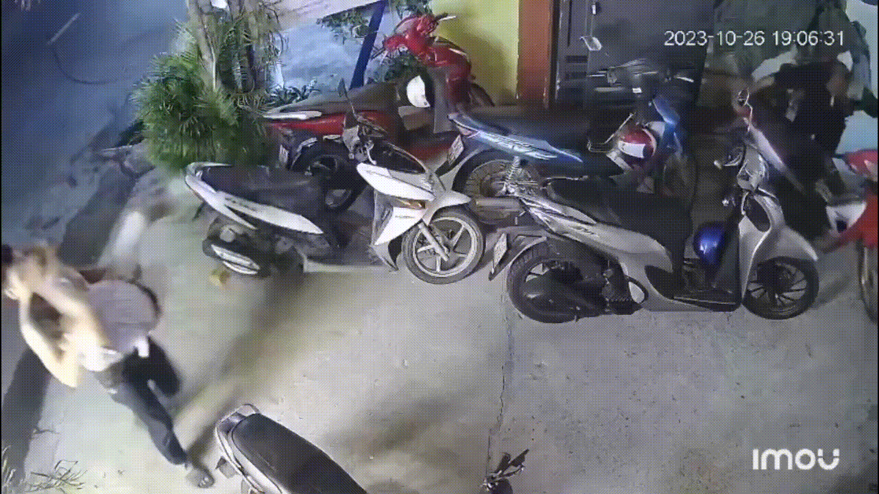 Vụ bị đánh tới 