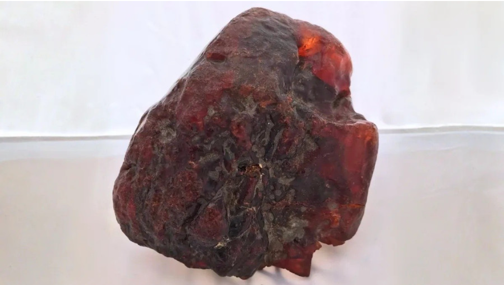 Nhặt hòn đá dưới suối về chặn cửa suốt mấy thập kỷ, chuyên gia vừa xem đã nói là kho báu gần 29 tỷ đồng- Ảnh 1. Nhặt hòn đá dưới suối về chặn cửa suốt mấy thập kỷ, chuyên gia vừa xem đã nói là kho báu gần 29 tỷ đồng- Ảnh 1.