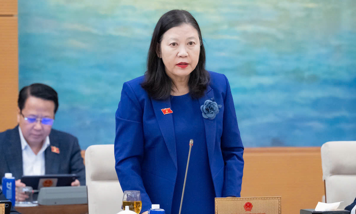 Nhiều người bị lừa đảo, bỗng dưng thành giám đốc công ty 'ma'- Ảnh 1.