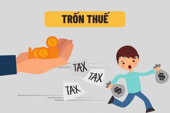 Trốn thuế, Luật Quản lý thuế, Kiến thức