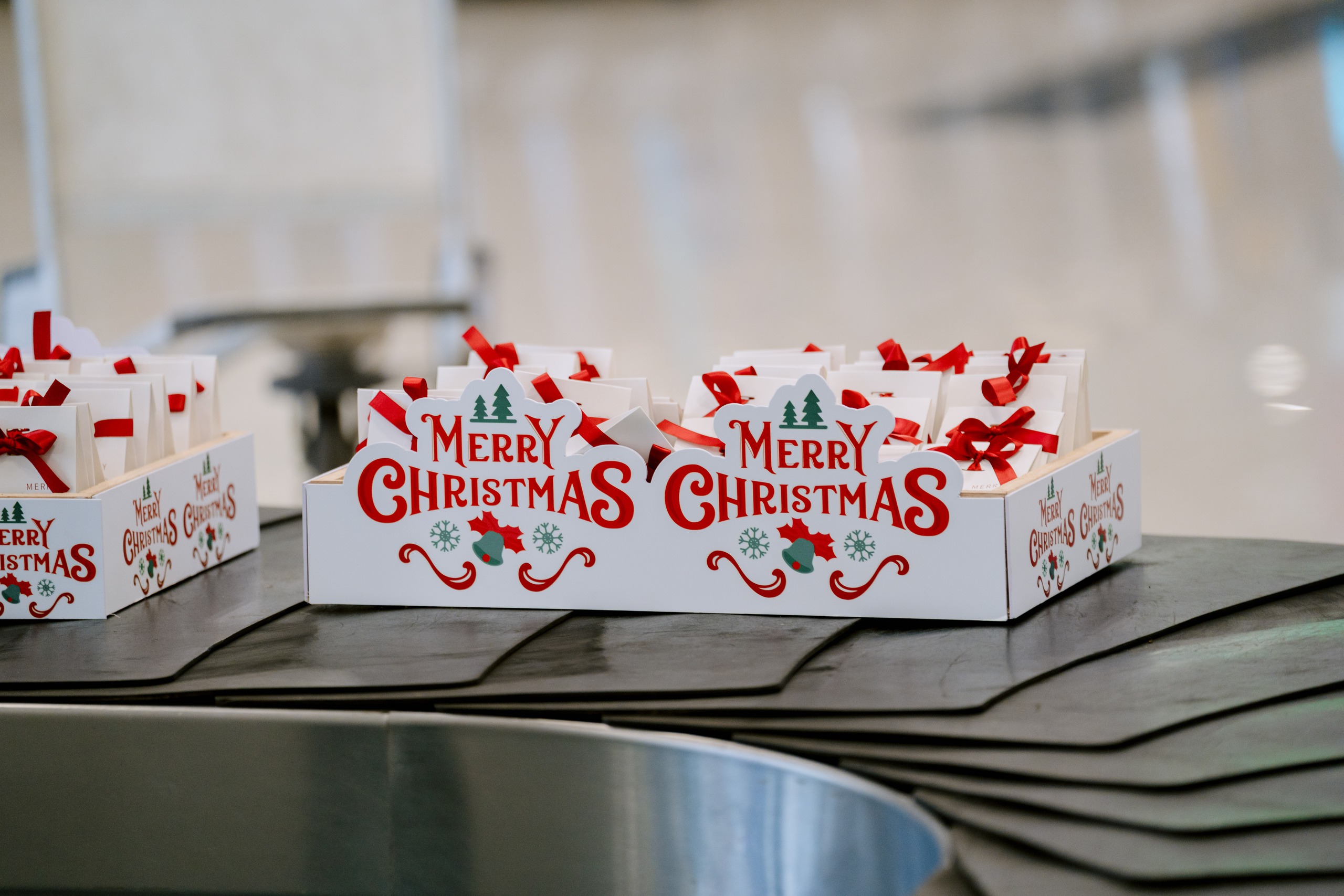 Những kiện hàng đặc biệt xuất hiện trên băng chuyền hành lý ở Nội Bài vào Giáng sinh - Ảnh 1.