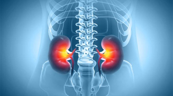 Những loại thực phẩm rất tốt nhưng ăn nhiều lại hủy hoại thận 1 Những loại thực phẩm rất tốt nhưng ăn nhiều lại hủy hoại thận - 1