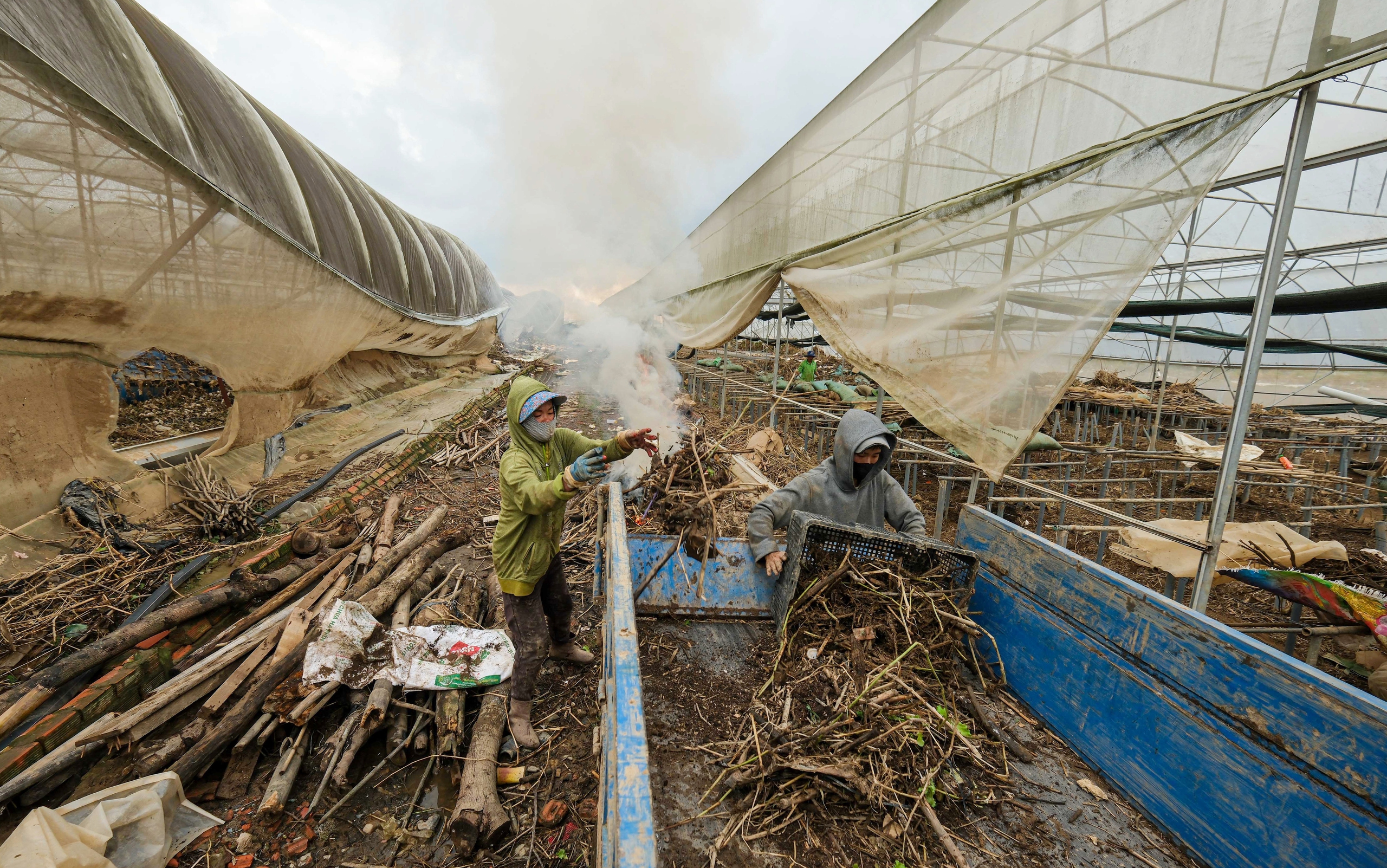 Nỗ lực giữ giá hàng Tết - Ảnh 1. hàng Tết - Ảnh 1.