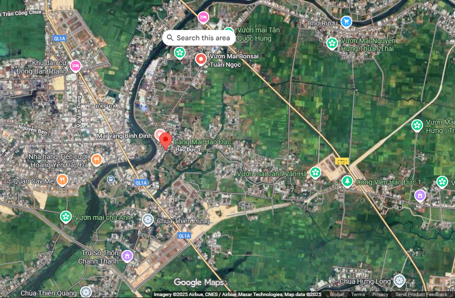 Nông dân điêu đứng vì mai Tết cười sau bão lũ dồn dập - 12