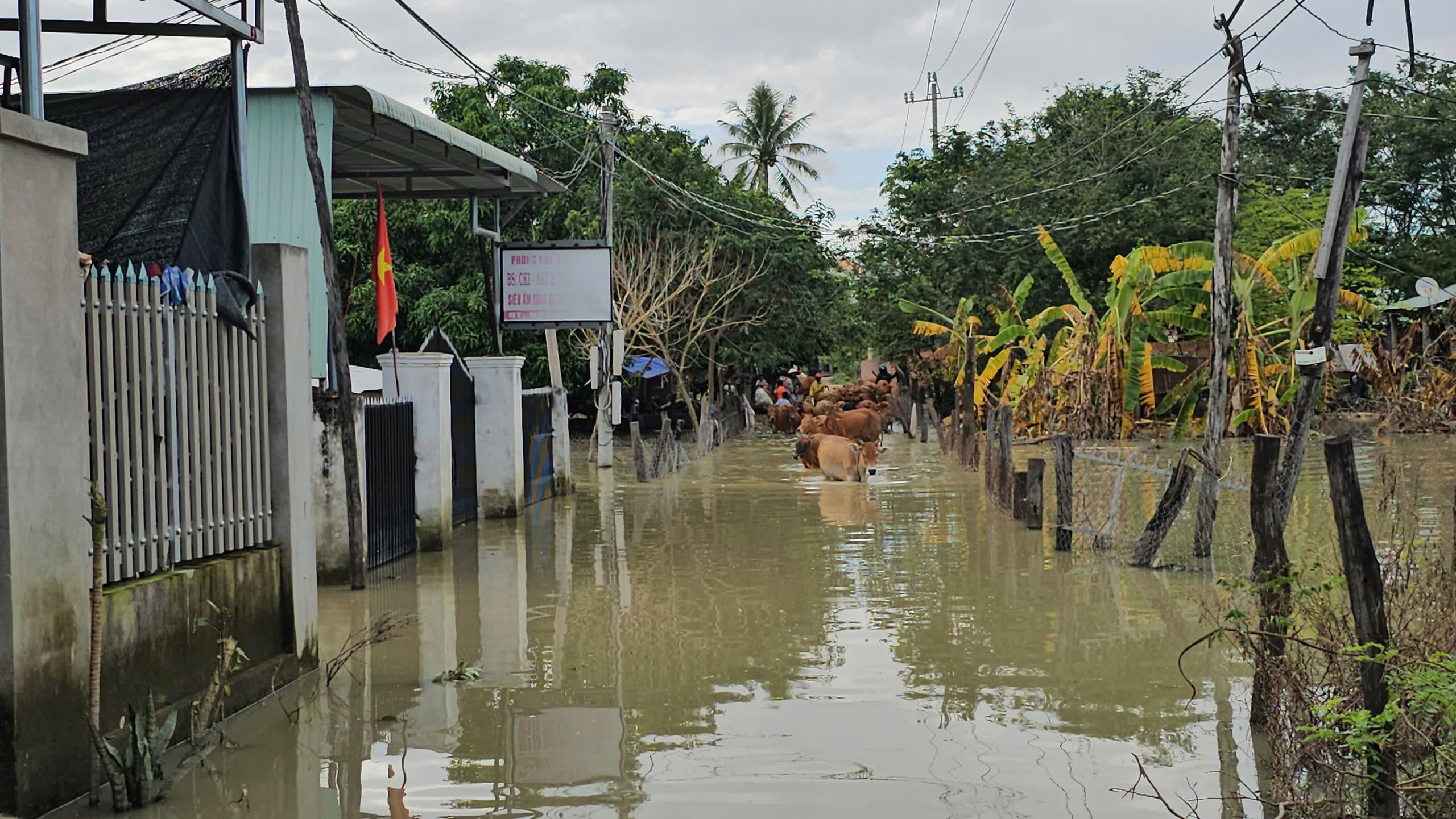 Nước lũ kéo dài ở Gia Lai khiến người dân khốn khổ và khó khăn sinh sống - Ảnh 2. Nước lũ kéo dài ở Gia Lai khiến người dân khốn khổ và khó khăn sinh sống - Ảnh 2.