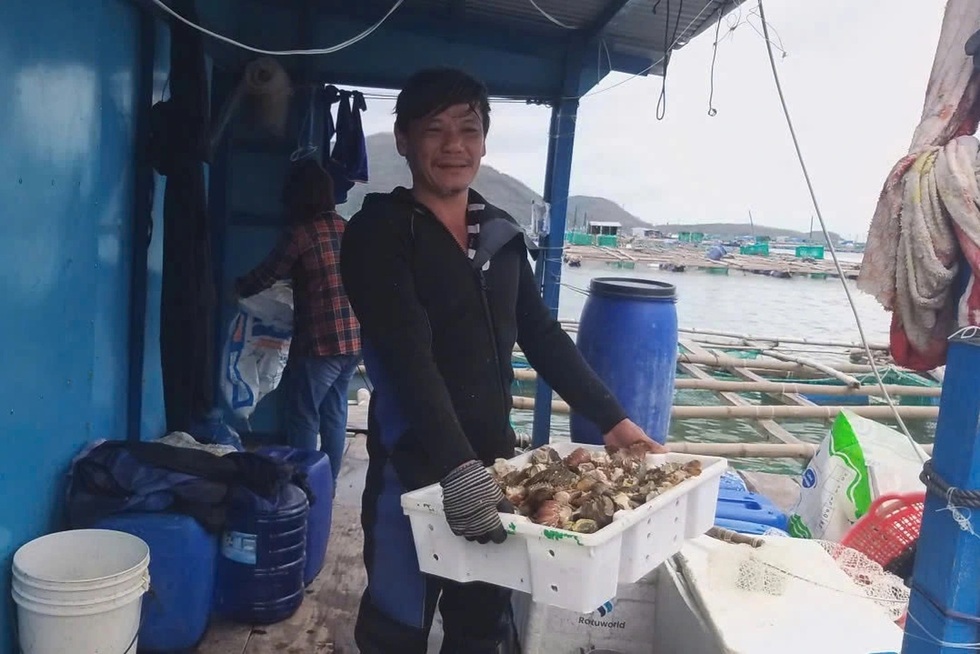 Nước mắt vịnh tôm hùm và những vụ mùa tiền tỷ đặt cược vào ông trời - 1