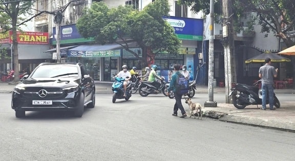 Phía sau bức ảnh người đàn ông lang thang cùng chú chó ở TP.HCM, xin việc hơn 30 công trình đều bị từ chối- Ảnh 1.