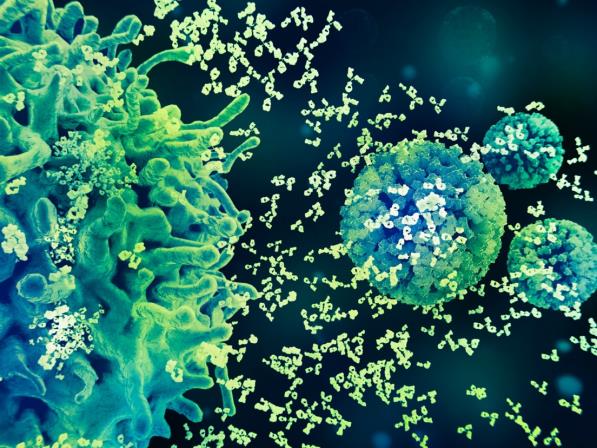 Phòng ngừa HPV: Cần tuân thủ phác đồ đã được phê duyệt 1 HPV - Ảnh 1.