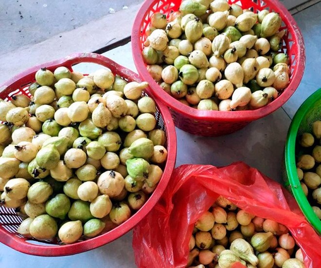 Quả quen mặt ở chợ Việt lọt top 