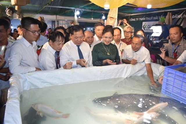 "Quái ngư” có kích thước hiếm gặp dưới lòng hồ nhân tạo lớn nhất Đông Nam Á 1 Quai ngu co kich thuoc hiem gap duoi long ho