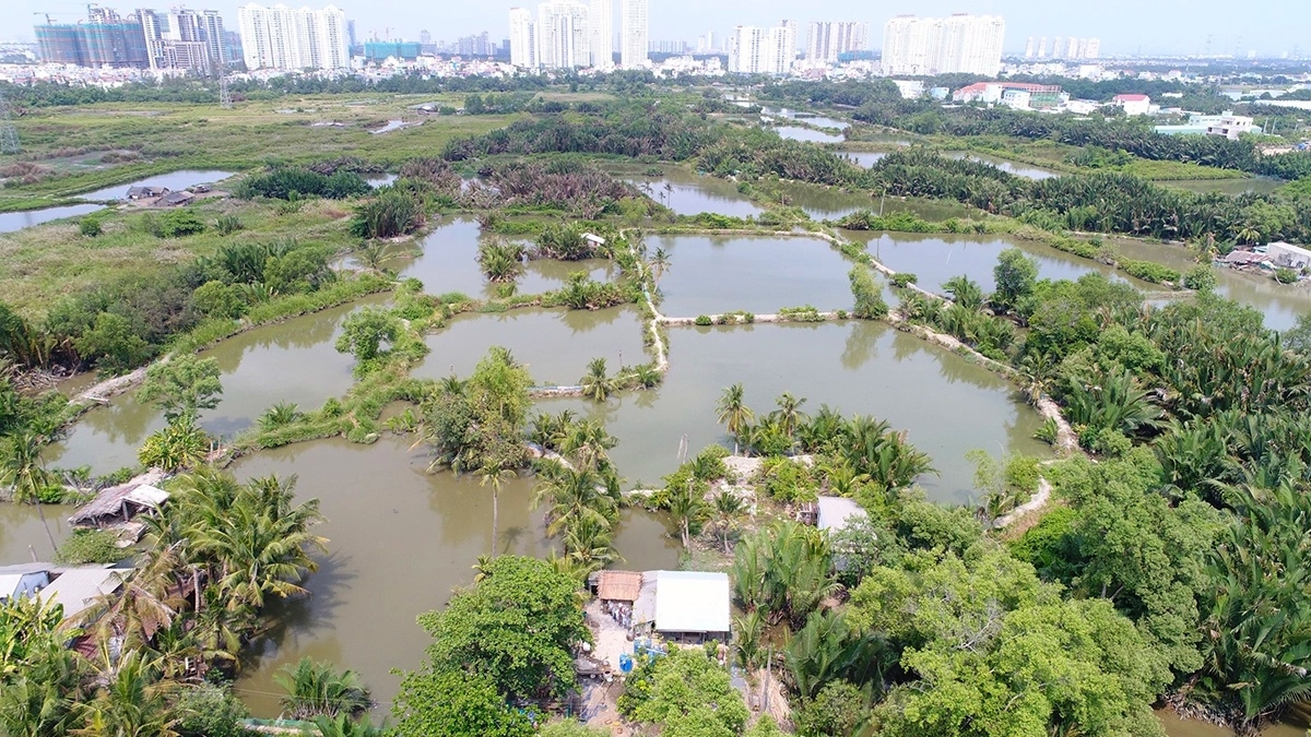 Quoc Cuong Gia Lai muon ban cong ty con de