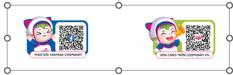 Saigon Co.op và 21 đơn vị thành viên được vinh danh Doanh nghiệp xanh TP.HCM 2025 - Ảnh 4.