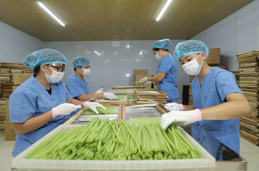 Sản phẩm của nông dân Việt giải được bài toán hóc búa, khiến người Đức Sản phẩm của nông dân Việt giải được bài toán hóc búa, khiến người Đức