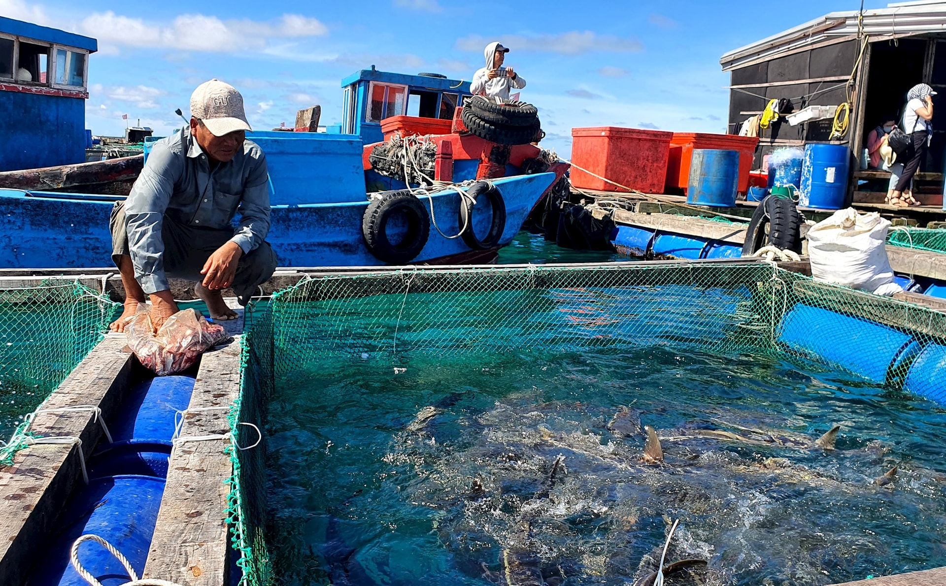 Sinh kế bền vững từ nghề nuôi biển - Ảnh 1.