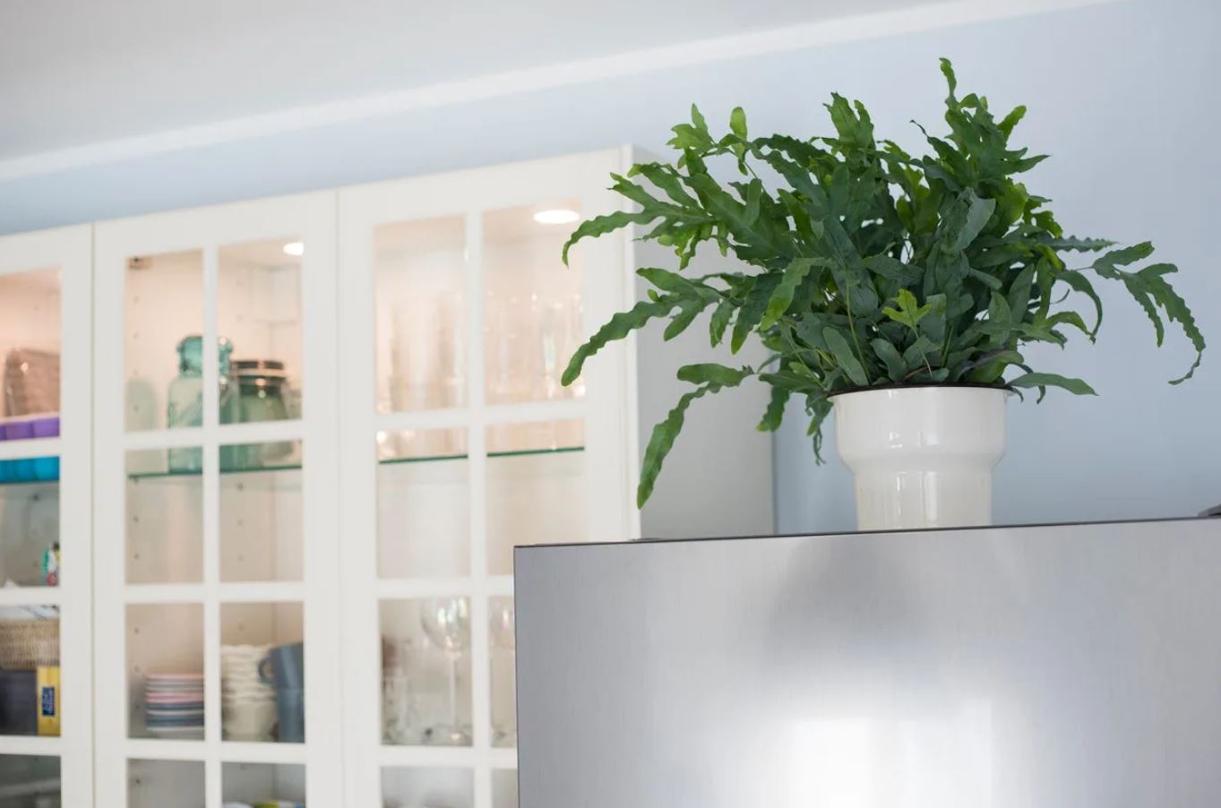 6 vị trí trong nhà tuyệt đối không được đặt cây: Số 3 khiến nhiều người 6 vị trí trong nhà tuyệt đối không được đặt cây: Số 3 khiến nhiều người